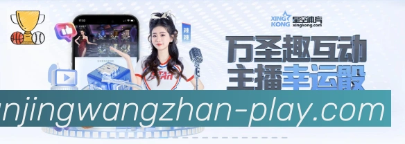 互动解说服务